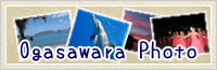 小笠原Photo
