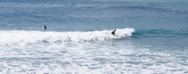 サーファーイメージ