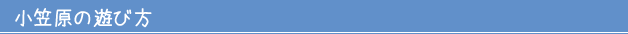 小笠原の遊び方