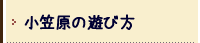 小笠原の遊び方