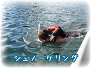 シュノーケリング