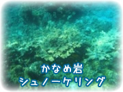 かなめ岩シュノーケリング